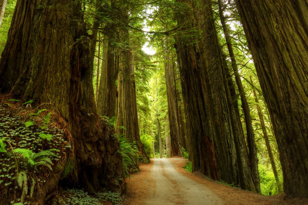 Excelencia sostenible y experiencia global